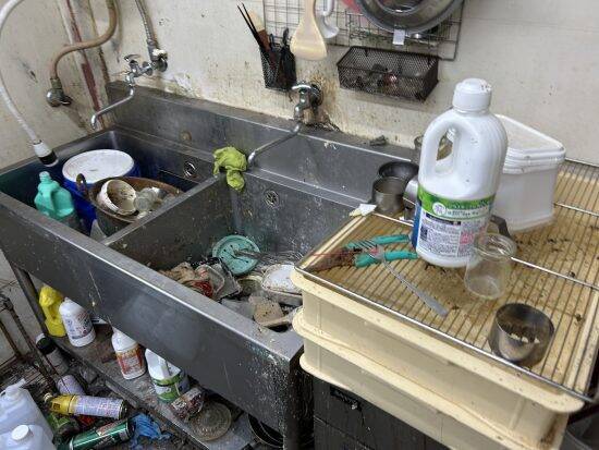 特殊清掃業者が見た“閉店したケーキ屋”の惨状「数千匹の害虫が…」冷蔵庫の中の乳製品からは“ものすごい異臭”