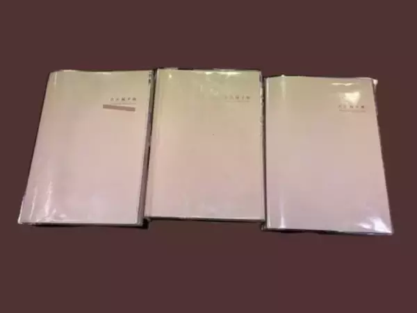 「スマホ時代に「紙の手帳」が3万部…「今日できたことを3つ書くだけ」がヒットした理由」の画像