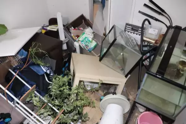 「特殊清掃業者が語る、秋になると「孤独死の清掃が減る」ワケ。その一方で火災・水害の復旧作業は増加」の画像