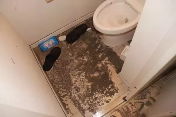 「特殊清掃業者が語る、秋になると「孤独死の清掃が減る」ワケ。その一方で火災・水害の復旧作業は増加」の画像