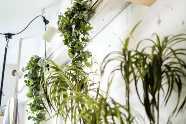 「お部屋が一気に垢抜ける「ヴォイド装飾」の正体とは？インテリアのプロが教える空間演出の極意」の画像