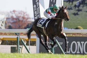 天皇賞（秋）5勝＆G1連勝中「ルメール」でも太刀打ち不可能？「マスカレードボール」に立ちはだかる“怖すぎるジンクス”とは