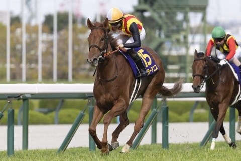 ＜スプリンターズS＞ルメール騎乗でもスターアニスは危険な人気馬？「G1・26連敗」の“不吉なジンクス”