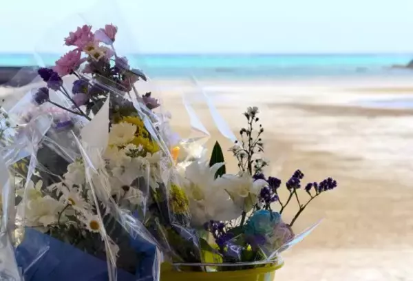 「辺野古沖転覆事故にみる「平和学習」より先に見るべきこと＜山口真由＞」の画像