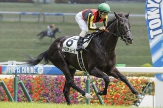 ＜大阪杯＞ダービー馬は「春に崩れる」？クロワデュノール＆ダノンデサイルに黄信号…代わって浮上する“爆穴候補”は