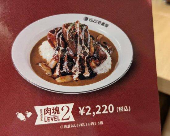 3,000円超えの「ココイチ肉塊カレー」、SNSの絶賛コメントは本当か…実食した女性記者が「言葉を失った」ワケ