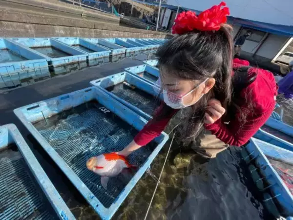 「高齢化で廃業する業者も…「金魚を愛する女性」が“金魚離れ”を解消するために始めた挑戦「派手な服装はキャラ作りではない」」の画像