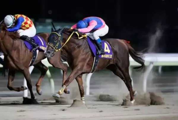 ＜チャンピオンズC＞3歳勢が断然人気も「危険な人気馬」が多すぎる理由…武豊×メイショウハリオの大駆けに期待できるか