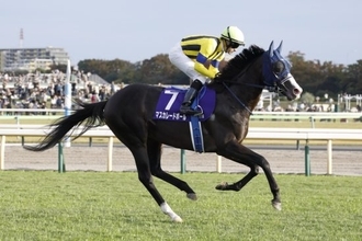 ＜ジャパンC＞マスカレードボール勝利の条件は…3歳馬「天皇賞・秋→ジャパンC」連勝は“至難の業”といえるワケ