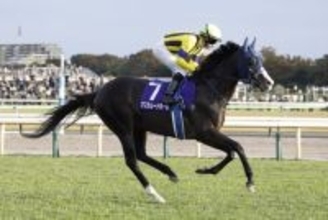 ＜ジャパンC＞マスカレードボール勝利の条件は…3歳馬「天皇賞・秋→ジャパンC」連勝は“至難の業”といえるワケ