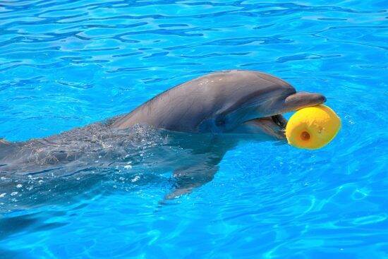 「我慢の限界でした」温泉で騒ぐ外国人観光客に地元民がウンザリ。スタッフに注意され謝罪するまで――大反響セレクション