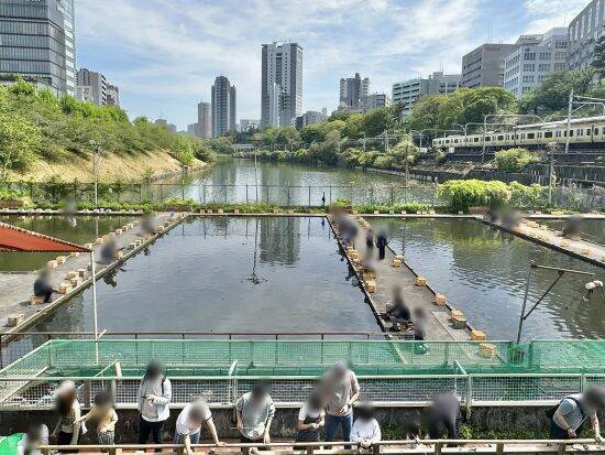 『推しの子』ロケ地がまさかの不法占拠？市ヶ谷駅前のシンボル「都会の釣り堀」が60年も存続できる深いワケ