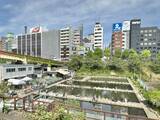 「『推しの子』ロケ地がまさかの不法占拠？市ヶ谷駅前のシンボル「都会の釣り堀」が60年も存続できる深いワケ」の画像3