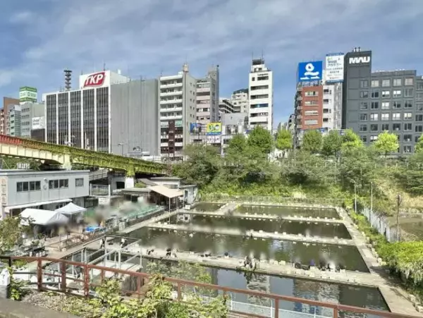 「『推しの子』ロケ地がまさかの不法占拠？市ヶ谷駅前のシンボル「都会の釣り堀」が60年も存続できる深いワケ」の画像