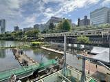 「『推しの子』ロケ地がまさかの不法占拠？市ヶ谷駅前のシンボル「都会の釣り堀」が60年も存続できる深いワケ」の画像4