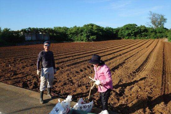 宮古島からタイへ、“二度の移住”を決断した60代男性の紆余曲折「人生はいつでもやり直せる」
