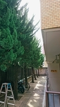 夏の山小屋でアルバイトをする44歳元会社員の生活。朝4時起床、ネット無しの環境で「3か月80万円」を丸々貯金