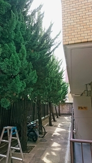 夏の山小屋でアルバイトをする44歳元会社員の生活。朝4時起床、ネット無しの環境で「3か月80万円」を丸々貯金