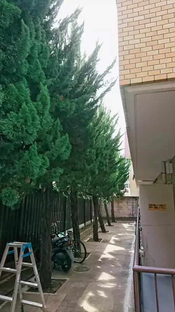 夏の山小屋でアルバイトをする44歳元会社員の生活。朝4時起床、ネット無しの環境で「3か月80万円」を丸々貯金