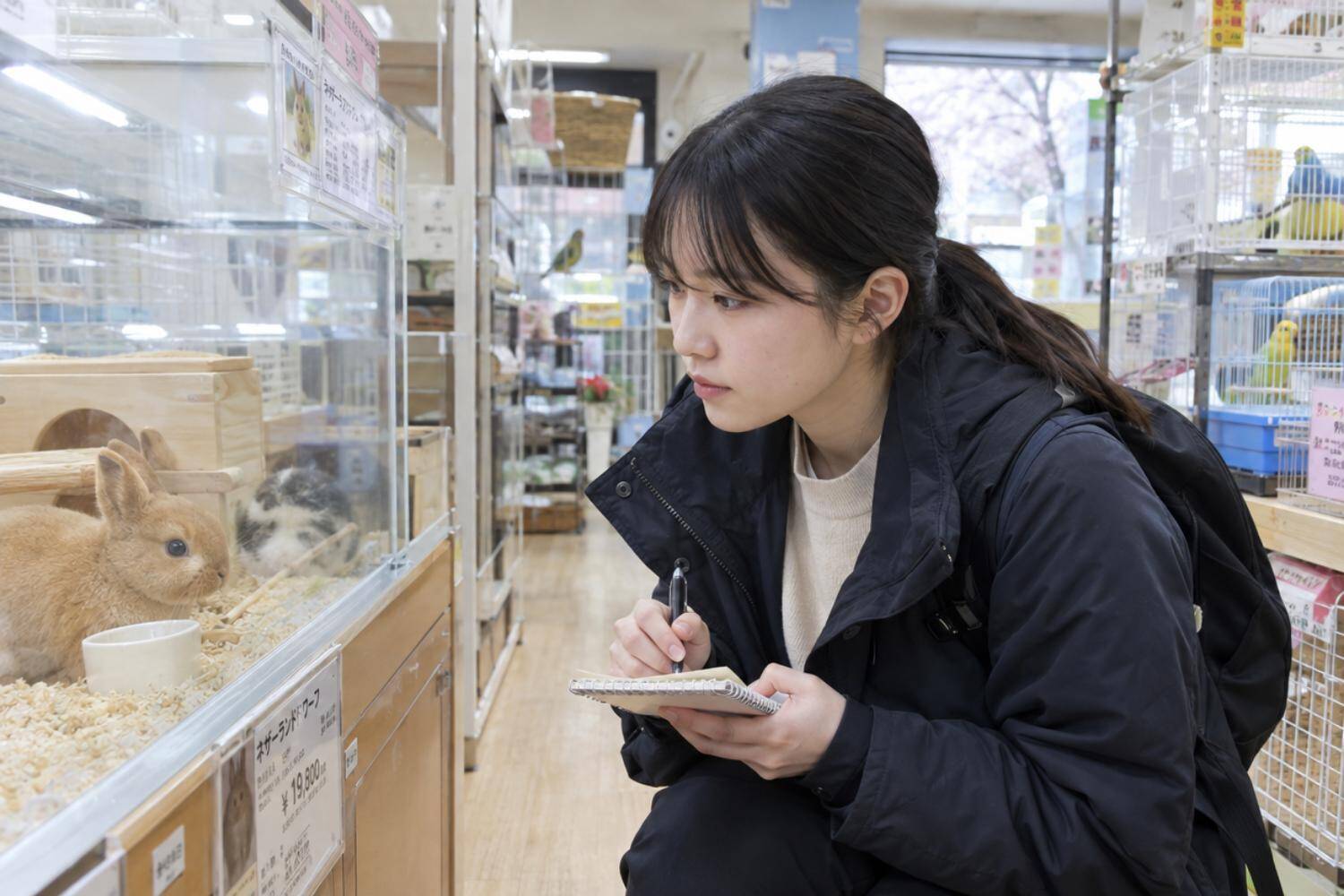 「やっぱり無理です」入社初日に退職届を出した“期待の新人”。上司も納得してしまった退職理由／犬猫の殺処分は20年前の何分の1になったのか調べてみた