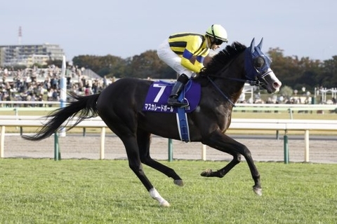 ＜天皇賞・秋＞マスカレードボールに襲い掛かる「過去40年未勝利」のジンクス…代わって浮上する“注目の伏兵馬”