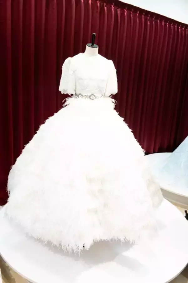 「AKB48「いつかは衣装ミュージアムを」。衣装で魅せる20年の軌跡」の画像