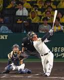 「「飛ぶ」「飛ばない」終わらないボール論争は今やプロ野球ファンの楽しみになった」の画像1