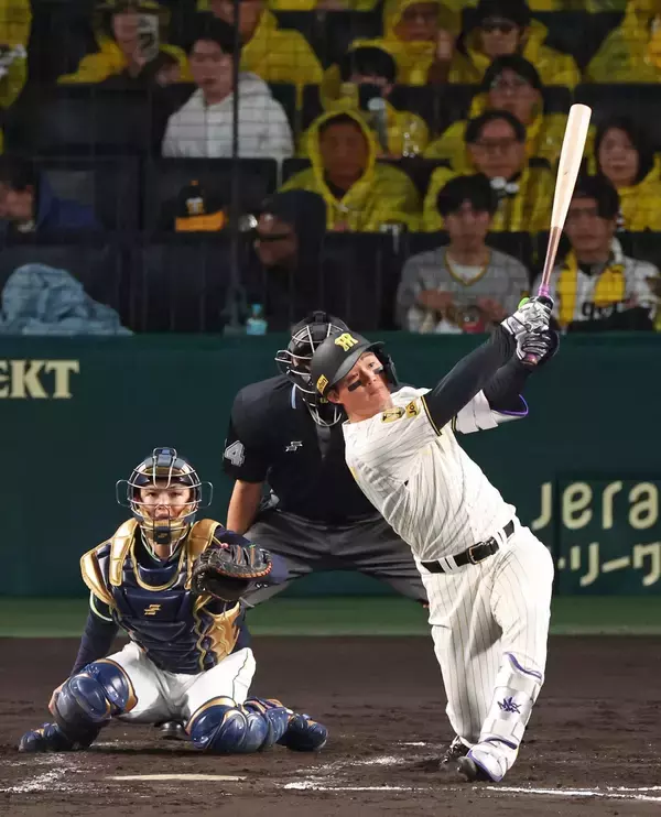 「飛ぶ」「飛ばない」終わらないボール論争は今やプロ野球ファンの楽しみになった