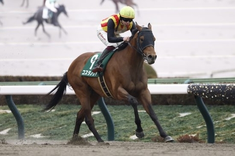 ＜フェブラリーS＞コスタノヴァ、ダブルハートボンドらに「絶望的データ」…“3強総崩れ”危機が直撃