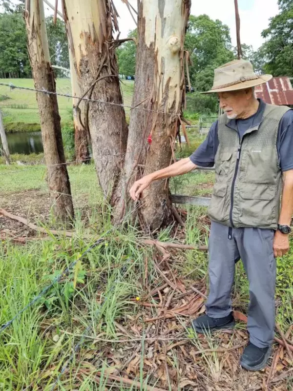 「北海道・千歳市「半導体バブルで街にやってきたのは、クマと半グレ」住民が治安の悪化を懸念…公園で大麻を吸う若者まで」の画像