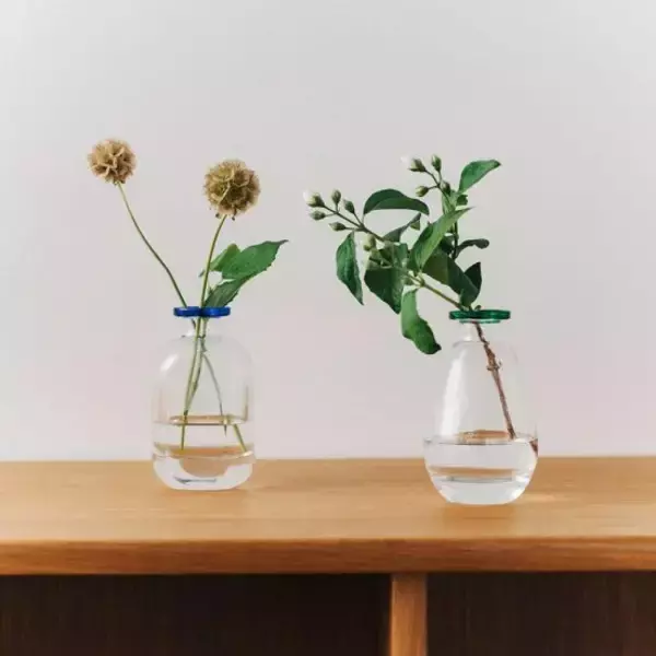 「インテリアの花瓶選び」黄金ルールは“口”にあった。初心者が失敗しない基準