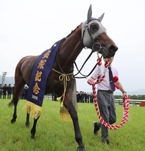 メイショウタバル14着…凱旋門賞で続く日本馬と欧州馬場の“皮肉なすれ違い”。「今年の馬場ならドウデュースを見たかった」の声も