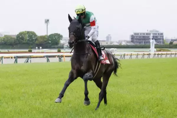 有馬記念が大混乱…「ヘデントール登録」で弾かれたライラック。“ファン投票の意義”が問われる大騒動に発展したワケ