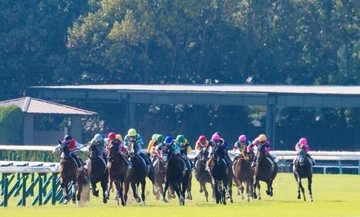 競馬“真夏開催”に浮上した新たな問題…猛暑でも「ポロシャツ禁止」の服装規定に疑問の声