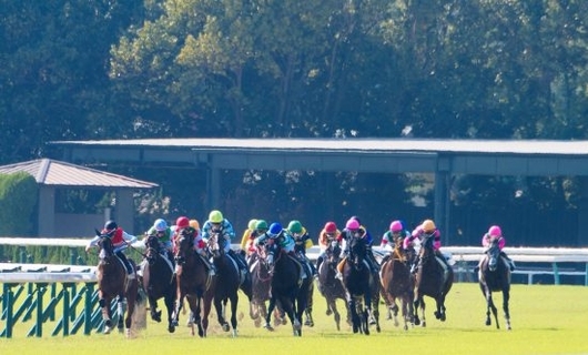 競馬“真夏開催”に浮上した新たな問題…猛暑でも「ポロシャツ禁止」の服装規定に疑問の声