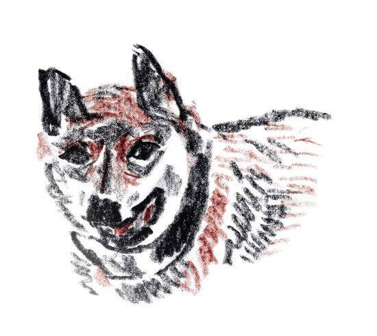 狩猟解禁日に警察に呼び止められ……応じた先にはなぜか犬に噛まれ瀕死の鹿／東出昌大