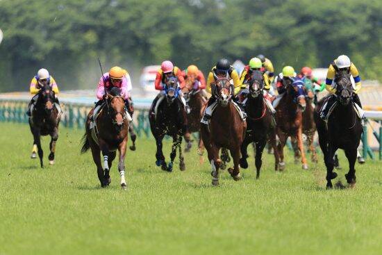 WIN5で1354万円的中。話題の馬券師クロサキが明かす「競馬は教育であり遺伝」異色のルーツ