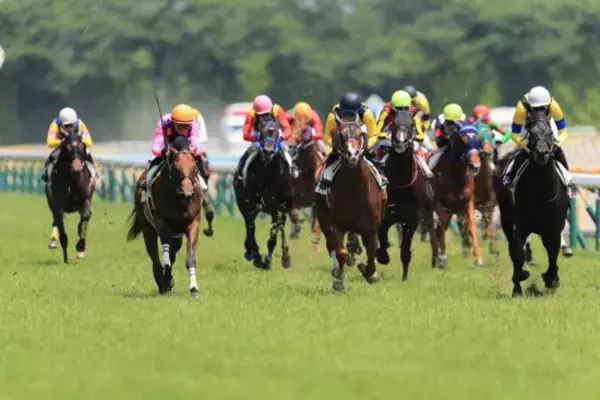 「WIN5で1354万円的中。話題の馬券師クロサキが明かす「競馬は教育であり遺伝」異色のルーツ」の画像