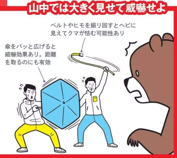 「岩手県の山中で「親子のツキノワグマ」に襲われた男性の恐怖体験。対策グッズがない人が取るべき行動とは」の画像