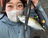 「「釣れる魚は増えたけど、友達は減った」現役OL釣りYouTuberが“会社を辞めない”理由」の画像11