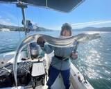 「「釣れる魚は増えたけど、友達は減った」現役OL釣りYouTuberが“会社を辞めない”理由」の画像7