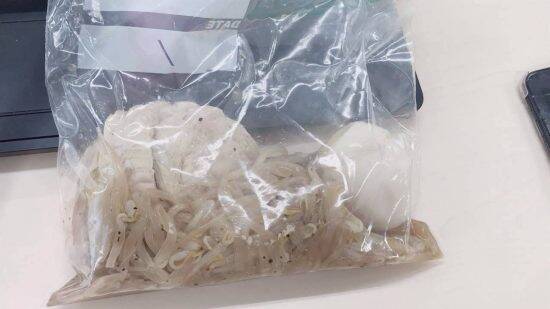 「アンチは養分です」。炎上しても笑い飛ばし、収益を全額寄付する“建設インフルエンサー”の媚びない強さ