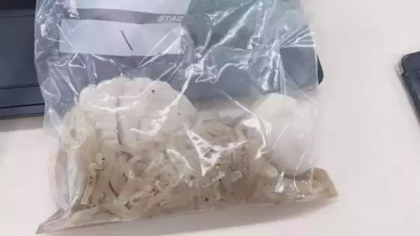 「「アンチは養分です」。炎上しても笑い飛ばし、収益を全額寄付する“建設インフルエンサー”の媚びない強さ」の画像