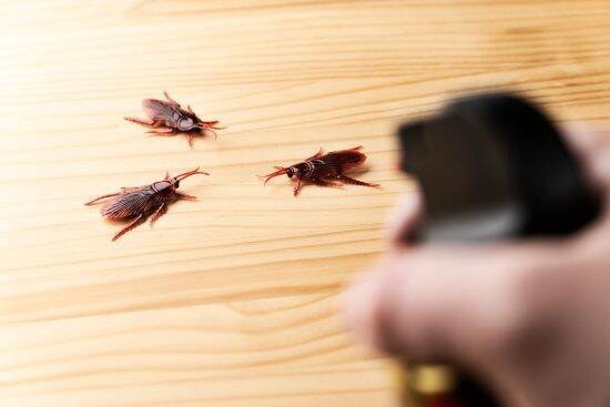 ゴキブリ駆除に使命感を持つ64歳男性。「人が嫌がる仕事に商機がある」元エリートの逆転戦略