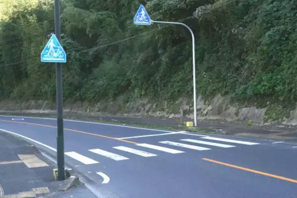 「さっさとどけ！」“信号なし横断歩道”で運転手がブチギレ…歩行者男性が放った「まさかの一撃」とは