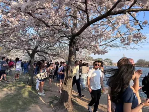 「「日本人はシャイじゃない」日本人が気づいていない“本当の魅力”…アメリカ人に聞いた“日本”の印象」の画像