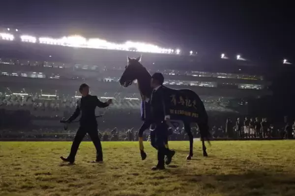 単勝馬券 オルフェーヴル国内出走G1全レース 振り落とせ
