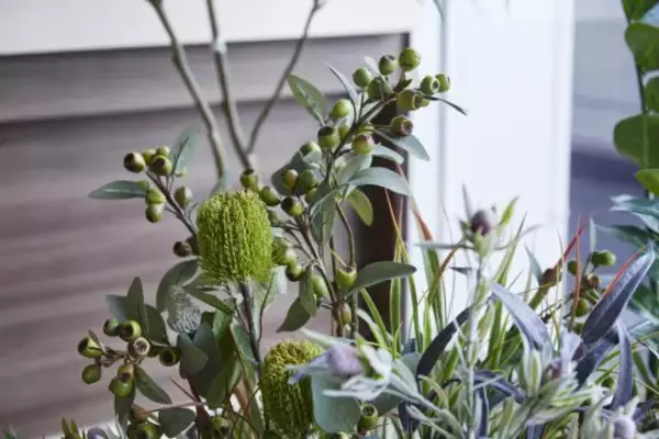 「おしゃれな部屋に嫌われ者の「フェイクグリーン」はアリかナシか？　」の画像