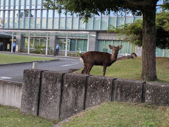 安倍元首相殺害事件、記者席から見た“法廷の真実”。山上被告「統一教会の影響下」にある母との対面にどう反応するか