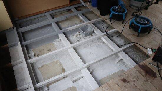 ペット不可の賃貸物件で「飼っていた痕跡を消して」特殊清掃業者が現実的にできること